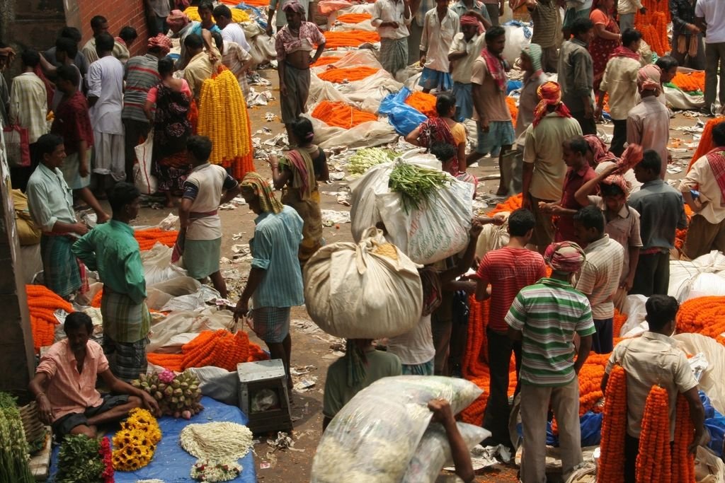 गाजीपुर में डीएम के आदेश पर कक्षा 1 से डिग्री कॉलेज तक सभी शिक्षण संस्थान रहे बंद